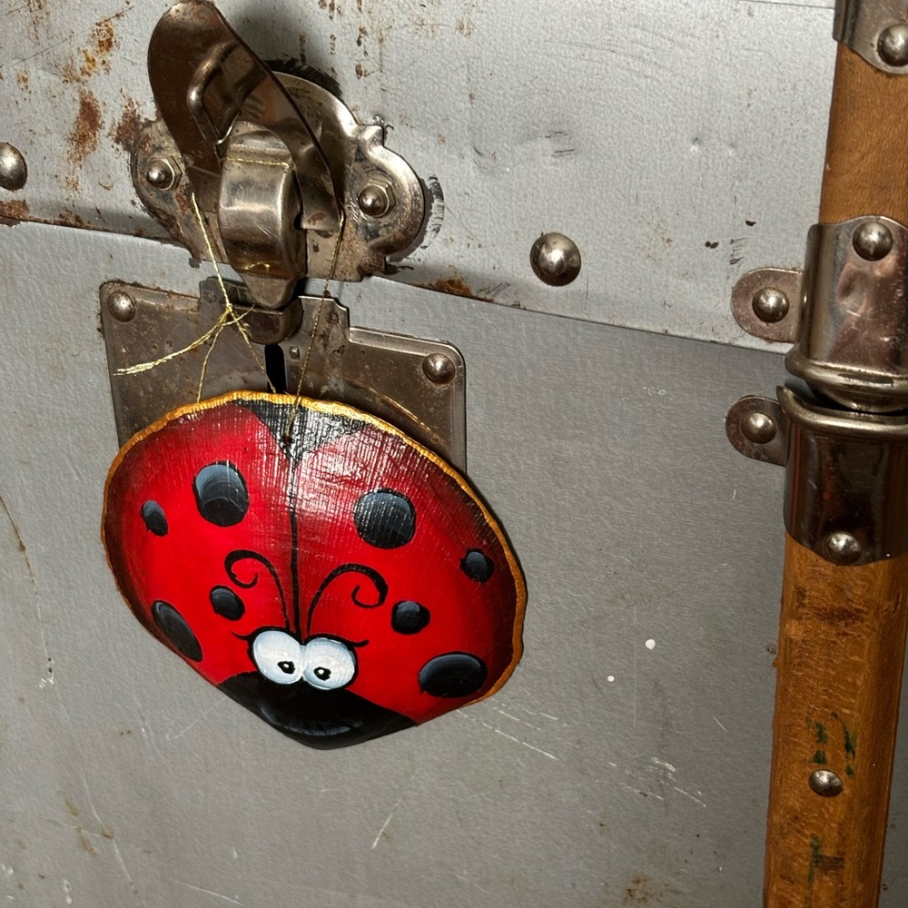 “Ladybug” seashell 🐞 - Picture 7 of 7